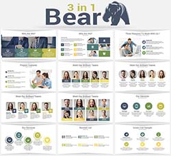 PPT模板－数据汇报(三套)：3 in 1 Bear PowerPoint Template Bundle